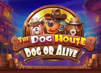 The Dog House - Dog or Alive - MASURAPLAY77