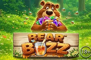 Bear Buzz - MASURAPLAY77