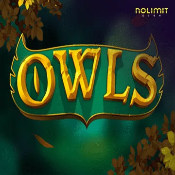 Owls - MASURAPLAY77