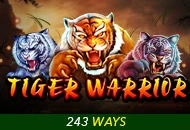 Tiger Warrior - MASURAPLAY77