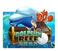 Dolphin Reef - MASURAPLAY77