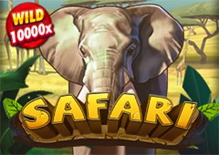 Safari - MASURAPLAY77